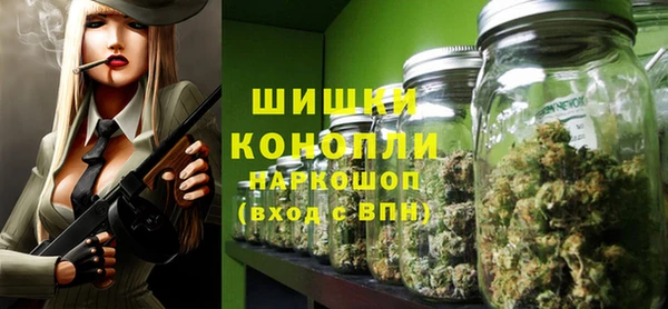 дживик Арсеньев